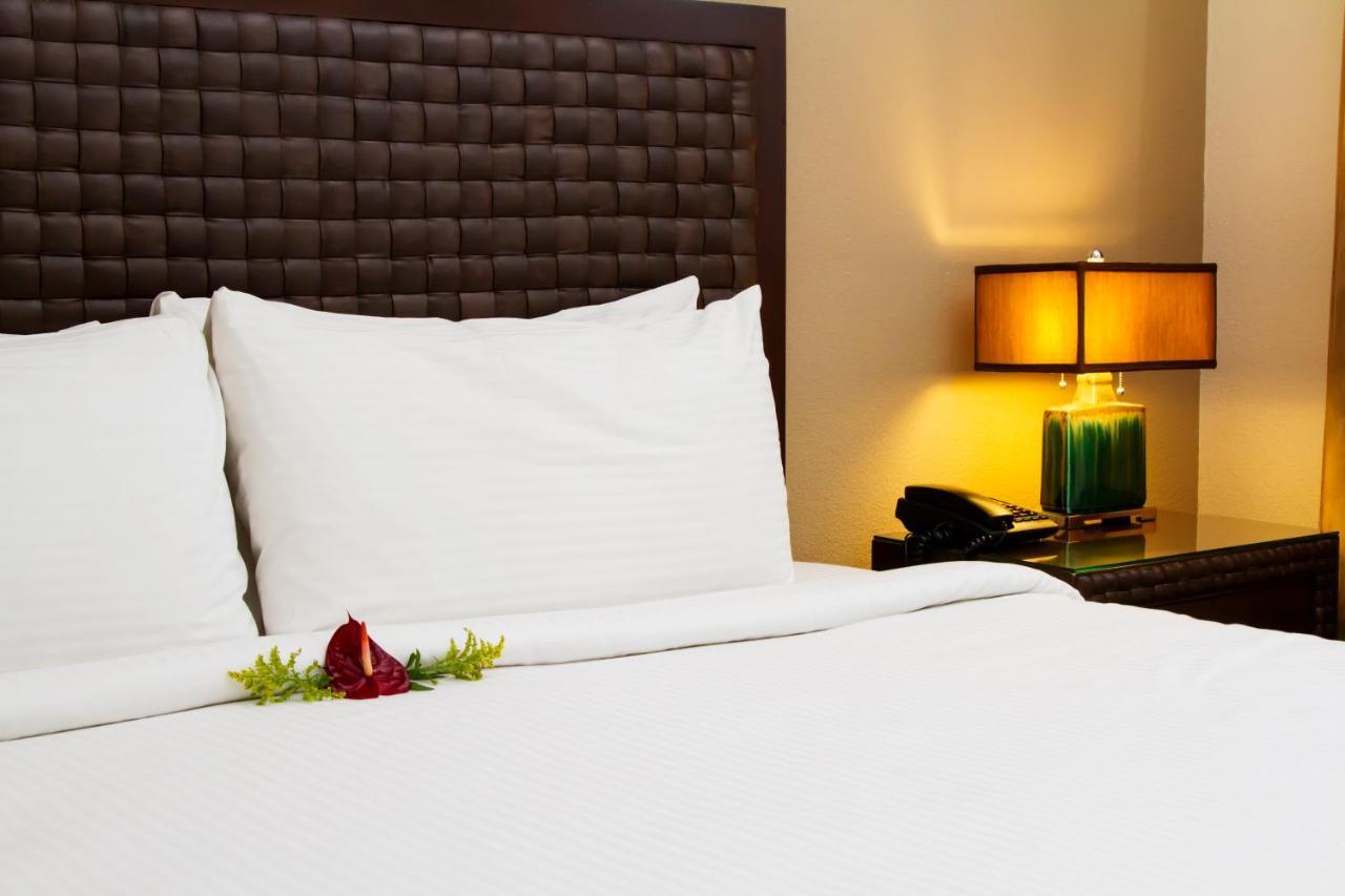 Rincon Del Valle Hotel & Suites San José Zewnętrze zdjęcie